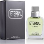 Urban Collection Eternal For Men - 3.4 Fluid Ounce Eau De Parfum Spray For Men 100ml