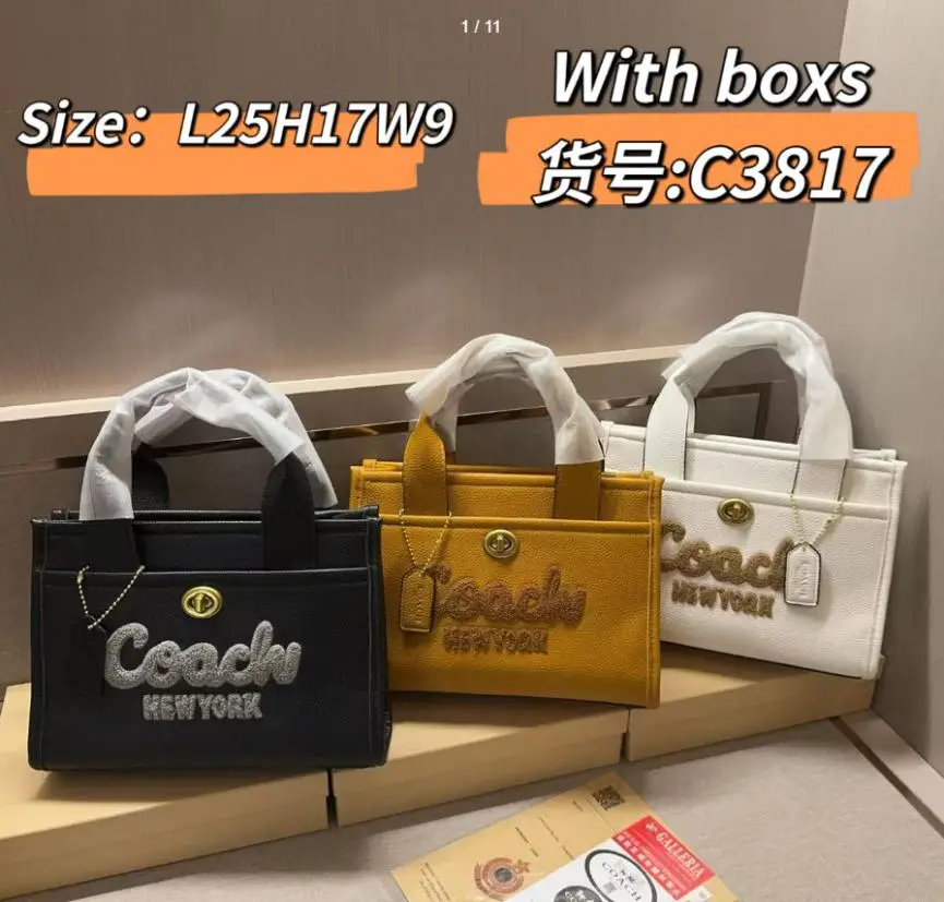 2026/08/1000544863.webp coach brown handbag - Image 1