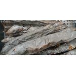 SMOKED FISH 37lb
